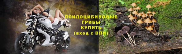 метадон Аркадак